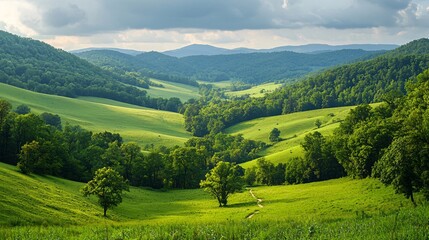 Obraz premium Lush green valley with Appalachian Trail winding through