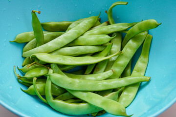 Fresh green beans in a plastic bowl. Isolated and shot with flash on a white background.