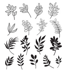 Set of leaves. Hand drawn decorative elements.