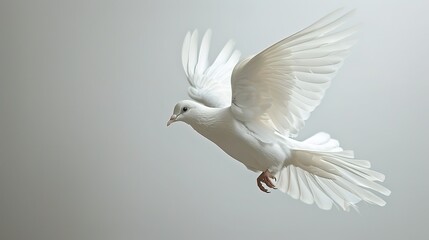 Obraz premium A Bird on White Background Image - a graceful and captivating visual. The bird on a pure white backdrop creates an enchanting and elegant scene.