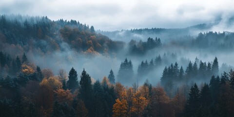 Morning mist shrouding the hills of mixed forest on a late autumn day. Concepts of forestry, ecology, climate change, and sustainability.