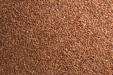 Dry Uncooked Brown Buckwheat Groats Background - Top View, Flat Lay. Raw Large Buckwheat Grains. Russian, Ukrainian and Belarusian Culture