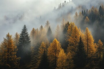 A misty forest with golden foliage, showcasing the beauty of nature's subtle hues.