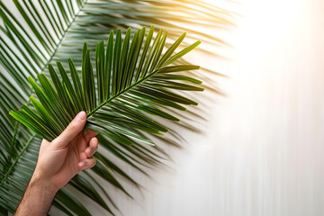 Palm sunday and easter day for welcome Jesus King to Jerusalem before Easter day. Hand Hold palm leave on white background easter sign symbol concept, World Environment Day Green coconut leaves