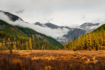 the beautiful valley of the Shavla river in Altai in autumn