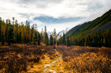 the beautiful valley of the Shavla river in Altai in autumn