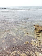 Portrait of a beach view on a sunny day with coral rocks on the beach