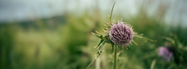 Fukuoka, Japan, Landscape of Japan form high resolution camera