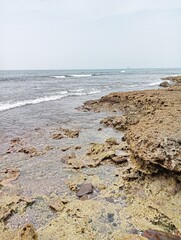Portrait of a beach view on a sunny day with coral rocks on the beach