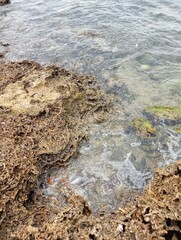 Portrait of a beach view on a sunny day with coral rocks on the beach