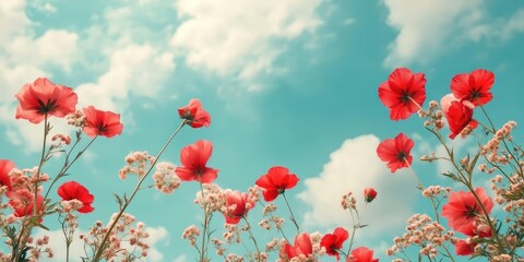 Obraz premium Red flowers against a backdrop of blue sky and clouds.