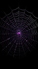 Dark purple spider web backgrounds illuminated concentric.