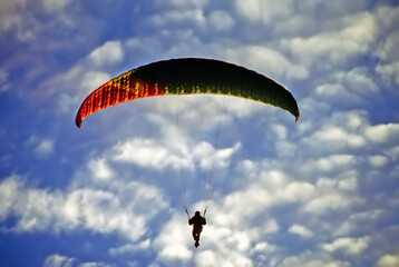 Paraglider