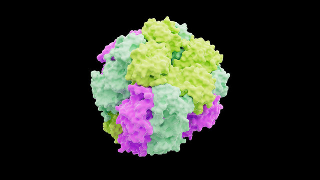 Rubisco protein structure, illustration