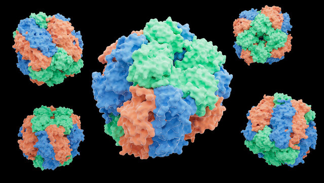 Rubisco protein structure, illustration