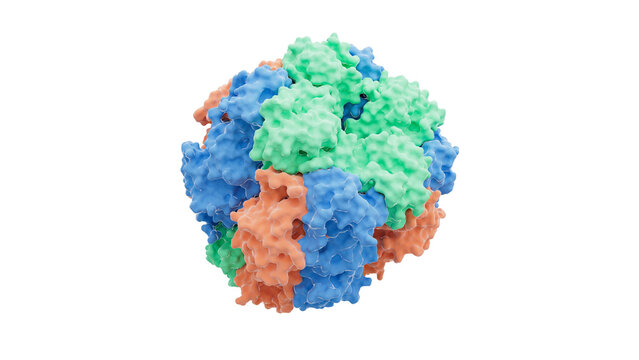 Rubisco enzyme structure, illustration