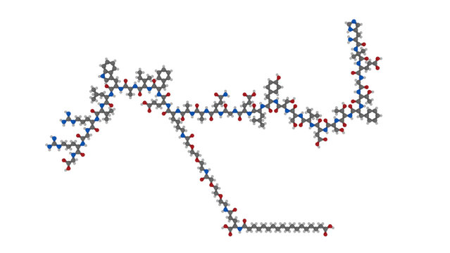 Semaglutide molecule, illustration