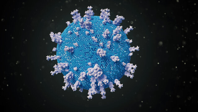 Herpes simplex virus type 1, illustration