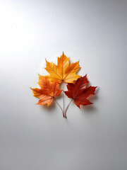 紅葉した３枚のカエデの葉