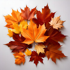 紅葉したランダムに重ねたカエデの葉