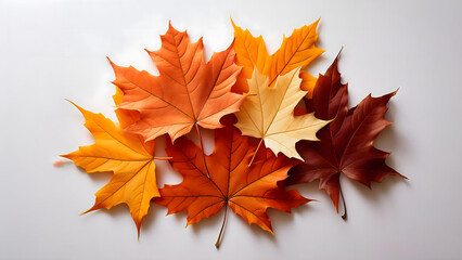 紅葉したランダムに重ねたカエデの葉