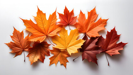 紅葉したランダムに重ねたカエデの葉