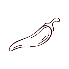 Whole red hot pepper red in line art style. Vintage design for print, menu, vegetable store. Isolated on white background.