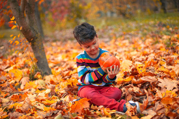 A Joyful Child Holding a Pumpkin Surrounded by Beautiful Autumn Leaves in a Park Setting