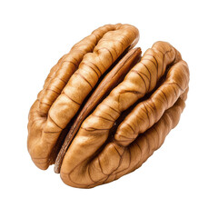 Cracked pecan nut with rough shell and rich brown inside isolated on a transparent background 