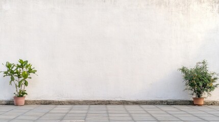 Clean blank white wall background, versatile design project, Backgrounds