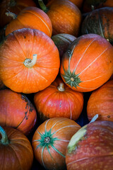 Kürbis, Golden Butta, Cucurbita Maxima, Speisekürbis, Kürbisernte, Kürbisrezepte, Herbstmarkt, Herbstfest, Herbstdekoration, Herbst, Baselland, Schweiz