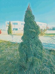 new year pine tree illustration in the garden