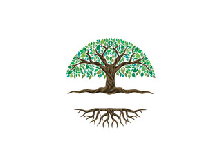 circle tree logo template, circular banyan tree 