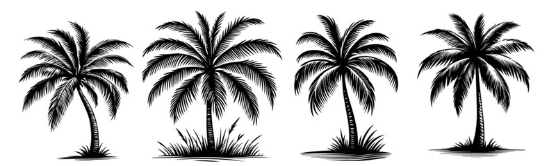 tropical palm tree illustrations set in black vector line art for creative design