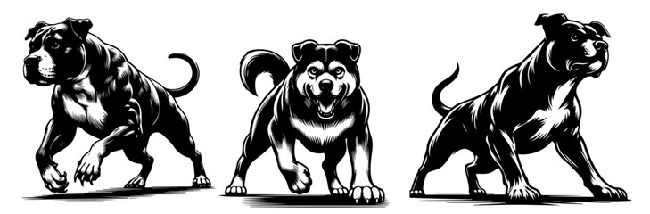 various poses of a running dog in realistic vector illustration black vector