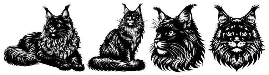 artistic line drawing set of various cats, showcasing intricate details and charming expressions black vector