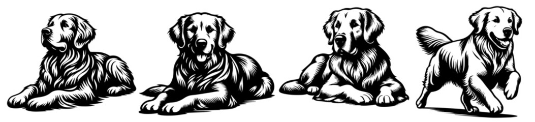 dog in action with multiple poses realistic vector black vector