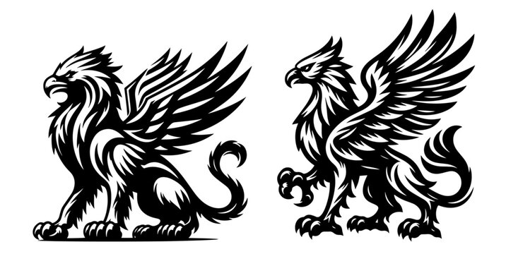 collection of detailed gryphon illustrations