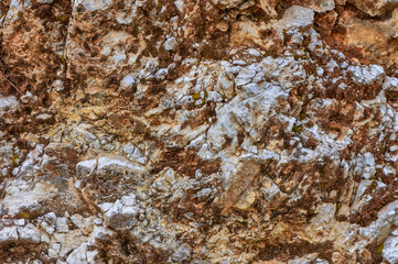 A close-up view of textured rock formations showcasing intricate layers and colors in a natural habitat during daylight