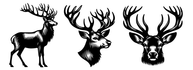 collection of elegant deer line art drawings, black vector