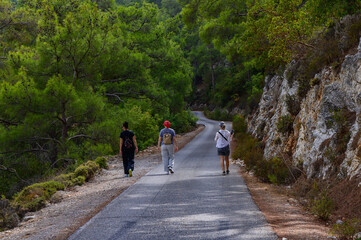 Obraz premium Three hikers enjoying a peaceful walk along a winding road in a lush forested area during a sunny afternoon