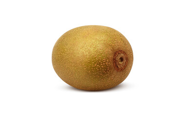 ゴールドキウイ イラスト リアル