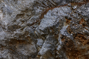 Texture of rugged limestone rocks with moss and lichen in a natural outdoor setting during daylight hours
