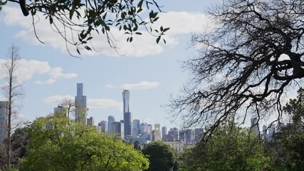Skyline of Melbourne city in Australia seen from botanical gardens on sunny day. Beautiful buildings and architecture from Royal Botanic Gardens Victoria. Trees and branches on side of frame 