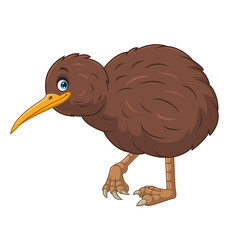 cartoon happy kiwi bird on white background