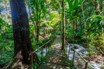 The natural background of the road surrounded by nature, big trees, waterfalls from high mountains and clear sky throughout the adventure journey.