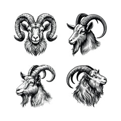 set of hand drawn goat head illustration. black and white goat vector sketch illustration