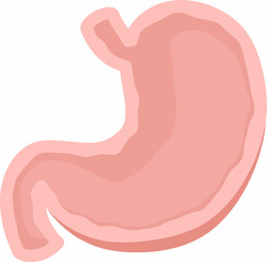 Illustration of Stomatch-Human Organ