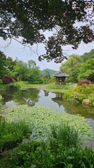 A beautiful pond with a pavilion and a forest full of greenery
