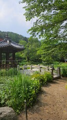 In a beautiful forest with a pavilion